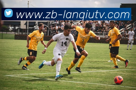 多媒体互动体验